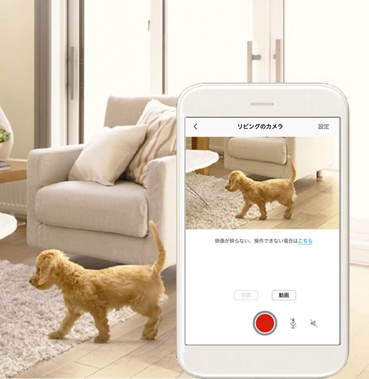Amazonタイムセール】今だけ28％オフ！ TP-Link「ネットワークWi