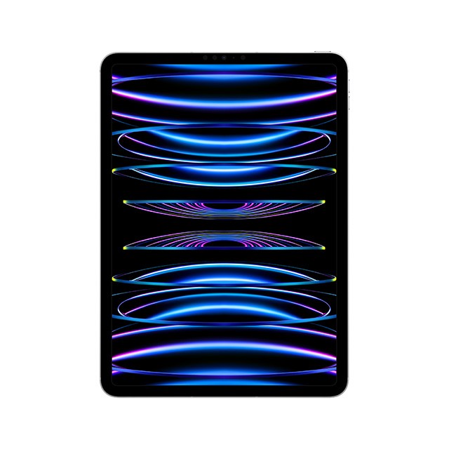 iPad Pro 忙し (第4世代)12.9インチ Liquid Retinaディス…