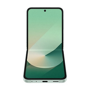 galaxy_z_flip6_mint_04.jpg?scl