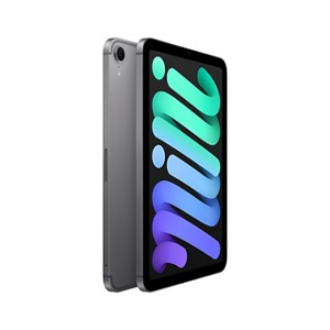 iPad mini（A17 Pro） | iPad | au