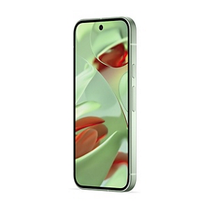 Google Pixel 9 | スマートフォン（Android スマホ）| au