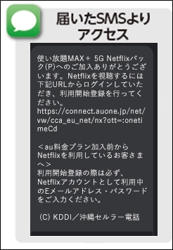 ご利用開始登録手順、Netflixのプラン変更について| エンタメ | au