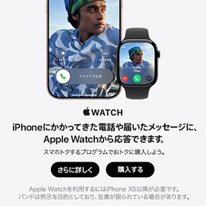 Apple - 【！購入制限！】ソウ　ユさん専用ページになります！ Apple Watch | 製品情報｜au