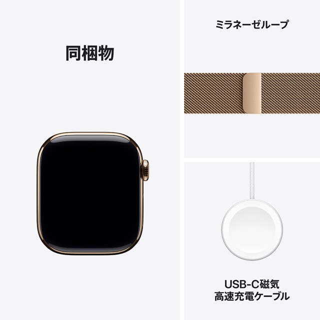 Apple Watch Series 11 ゴールドチタニウムケース 同梱物についての画像