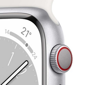 在庫定番ぽにゃさん専用 Apple Watch series8 Apple Watch本体
