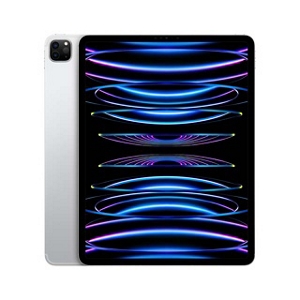 iPad Pro 12.9 (第3世代) au celler + Apple …
