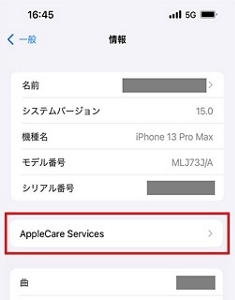 故障紛失サポート with AppleCare Services & iCloud+ | サービス