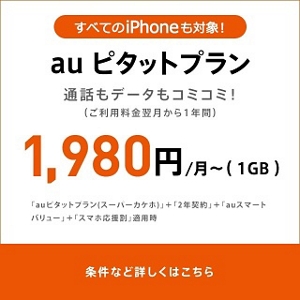 auピタットプラン