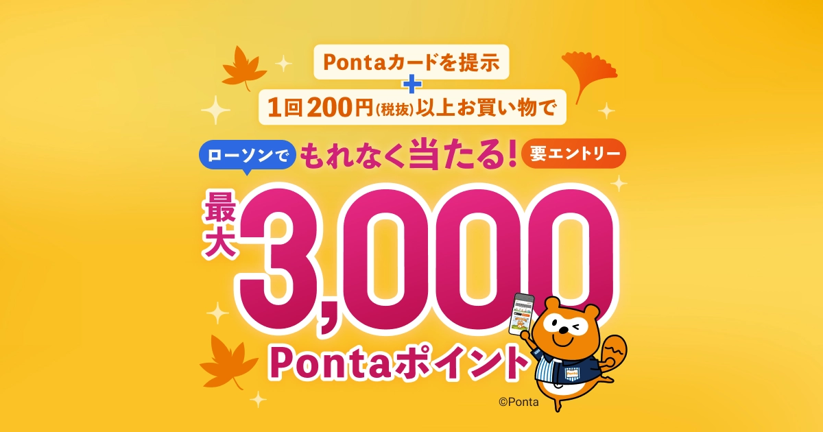 みかさん専用　PONTAカード みかさん専用 PONTAカード みかさん専用 PONTAカード みいるか V