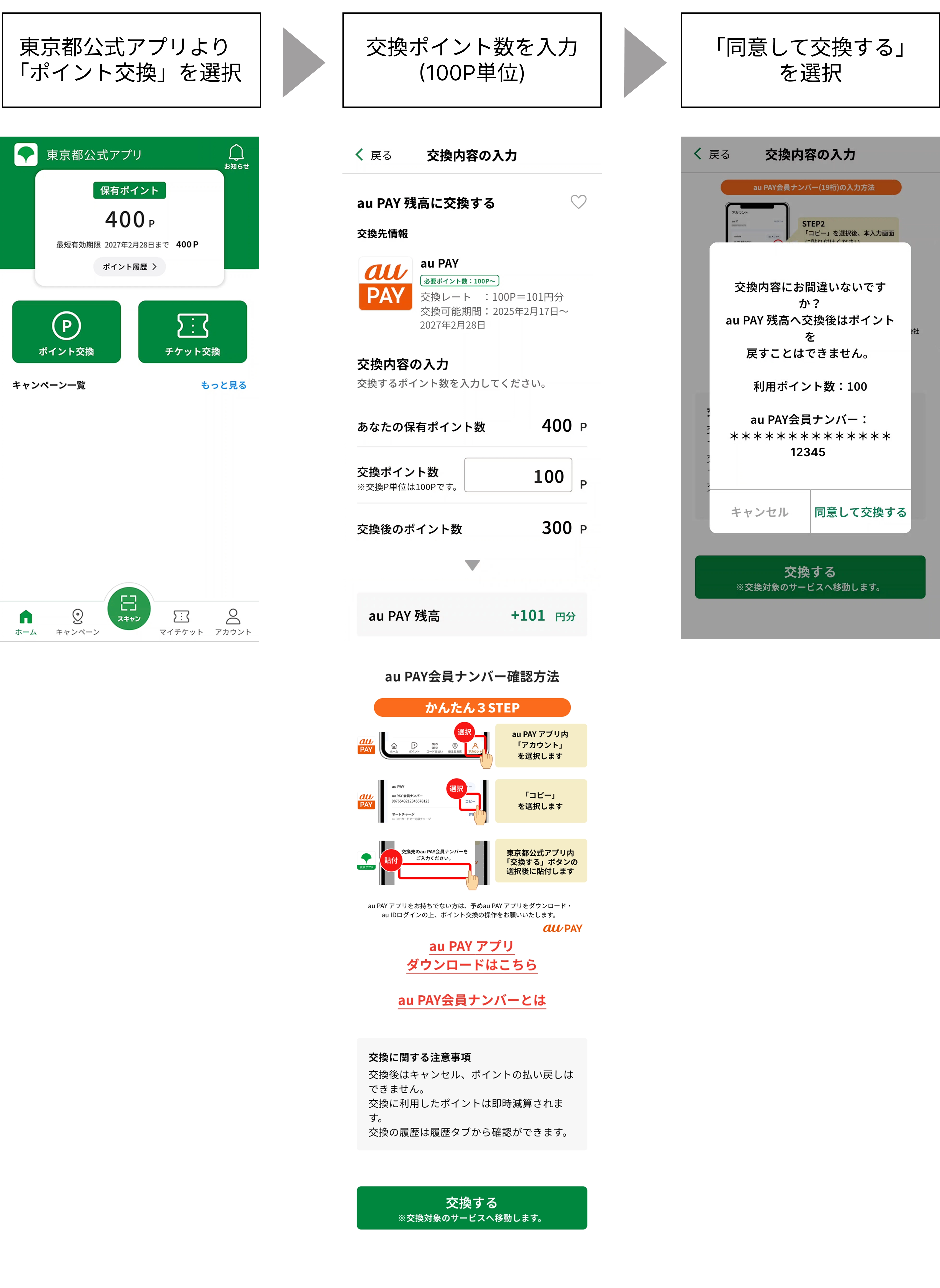 いやさか 追加料金お支払い用ページ あと払い（ペイディ）による自動更新 | ドメインの取得も更新も