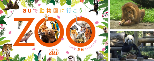 auで動物園に行こう!