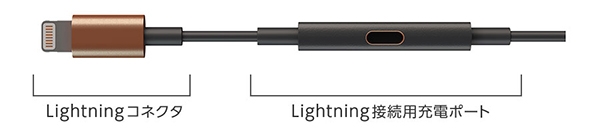 LightningコネクタとLightning接続用充電ポート