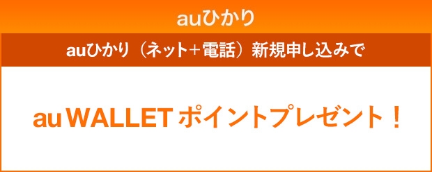 終了したキャンペーン 割引特典 インターネット回線 Au