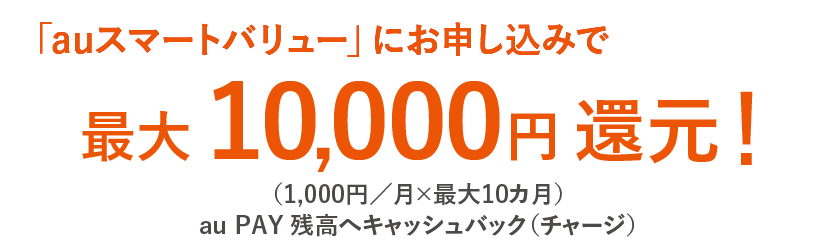 Auひかりちゅら レンタル機器返却方法 引越しと同時に解約した私たちの場合 犬と南国暮らし