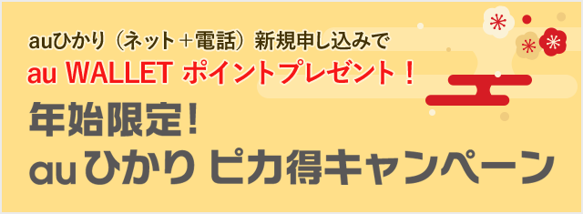 年始限定 Auひかり ピカ得キャンペーン 終了したキャンペーン 割引特典 インターネット回線 Au