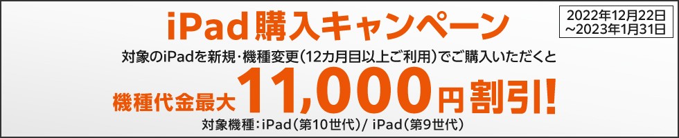 iPad購入キャンペーン