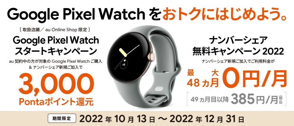 Pixel watch kddi clearance