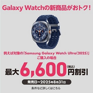 【送料無料】携帯電話au！バッテリー付きソニー　日本製品先着１名様 楽天市場】【新品・NTT純正品】NTT製 αZX αN1 デジタル