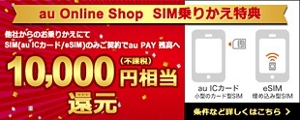 SIM（au ICカード／eSIM） | 製品 | au