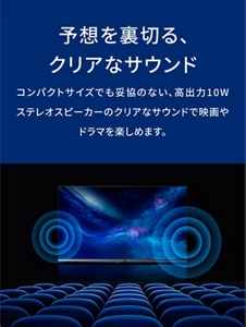 SKYWORTH Smart TV | au +1 collection | au