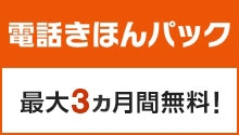 auピ 電話きほんパック