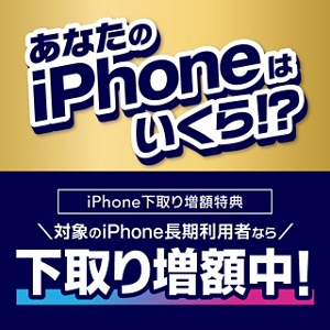 NTTdocomo - DoCoMoアンドロイド(au下取り用) DoCoMoアンドロイド(au下取り用)
