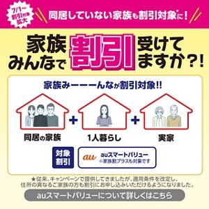 au - 解約済SIM au nano イエロー&amp;グレー（枠付き）19枚セット 2025年最新】Yahoo!オークション -解約済みsimカード nano auの
