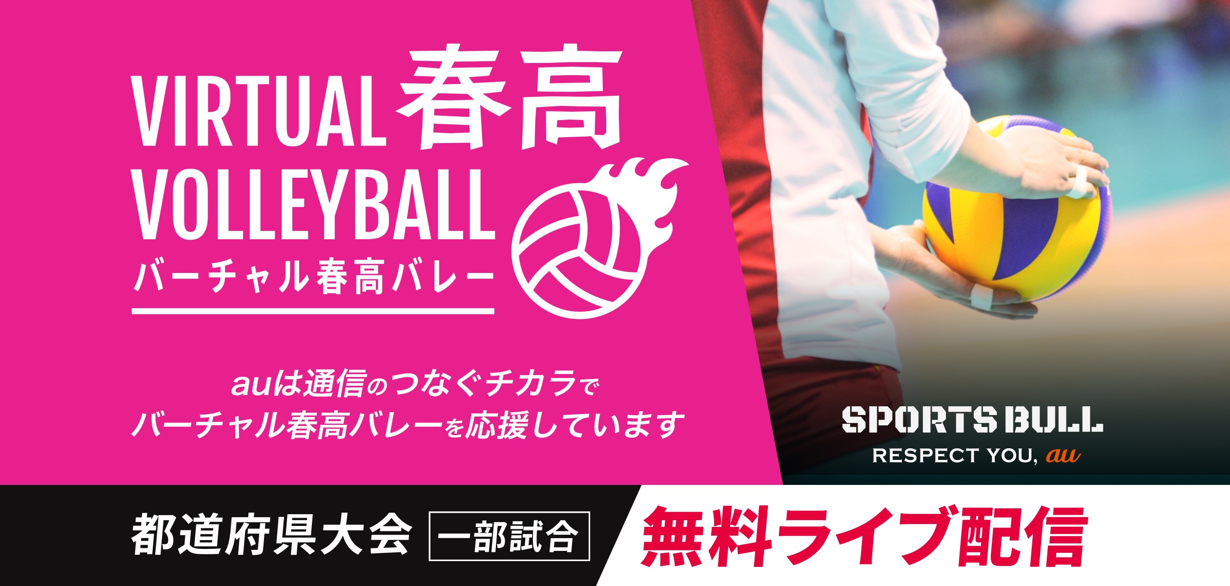 バーチャル春高バレー 都道府県大会 一部試合 無料ライブ配信の詳細ページに遷移するバナー