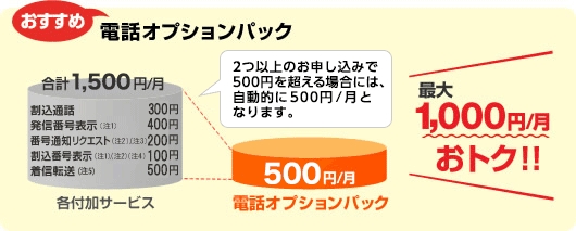 電話オプション Auひかり電話 オプションサービス Auひかり インターネット回線 Au